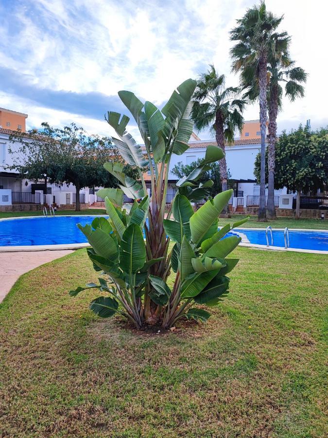 Adosado En Alcossebre El Faro Villa Exteriör bild